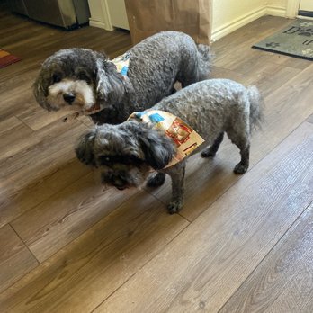 Pretty Polished Paw - Pet Groomers Near Me - McKinney, Texas Pretty Polished Paw - Pet Groomers Near Me - McKinney, Texas
