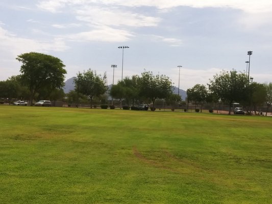 Skyline Park by null