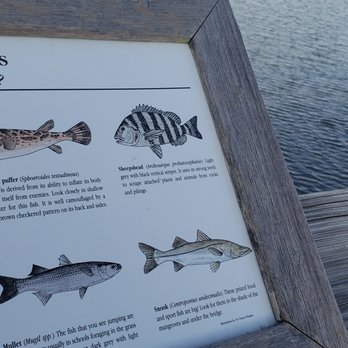 John D. MacArthur Beach State Park - Parks Near Me - Palm Beach, Florida