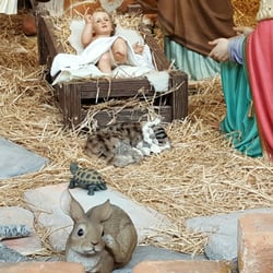 Estació d'Alacant - #Navidad en la Estación