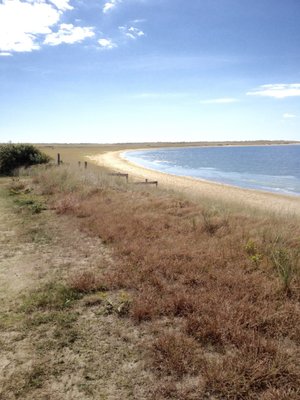 Joseph Sylvia State Beach by null