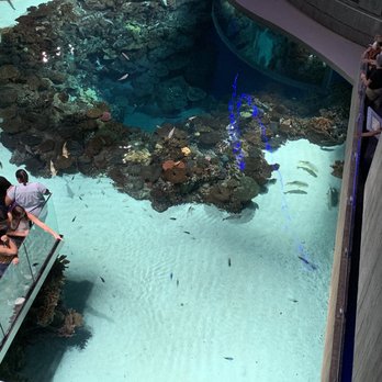 National Aquarium - Aquariums Near Me - Baltimore, Maryland National Aquarium - Aquariums Near Me - Baltimore, Maryland