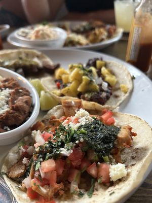 Holy Tequila by null