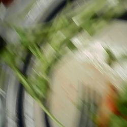 LUNA Wine & Table - Dinner plate