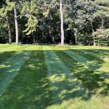 Rockingham Lawn Care - Lawn Services Near Me Rockingham Lawn Care - Lawn Services Near Me