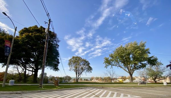 Silver Beach County Park by null