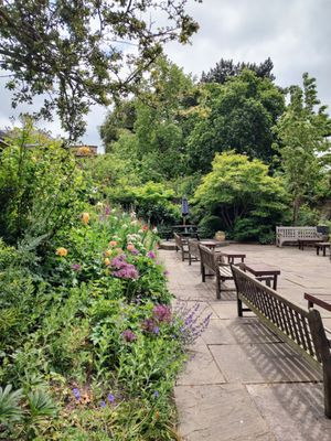 Hereford Cathedral by null