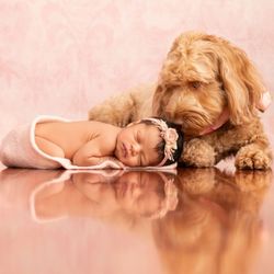 James Hill Photography - Our daughter, just nine days old and our first daughter, our dog Hepburn