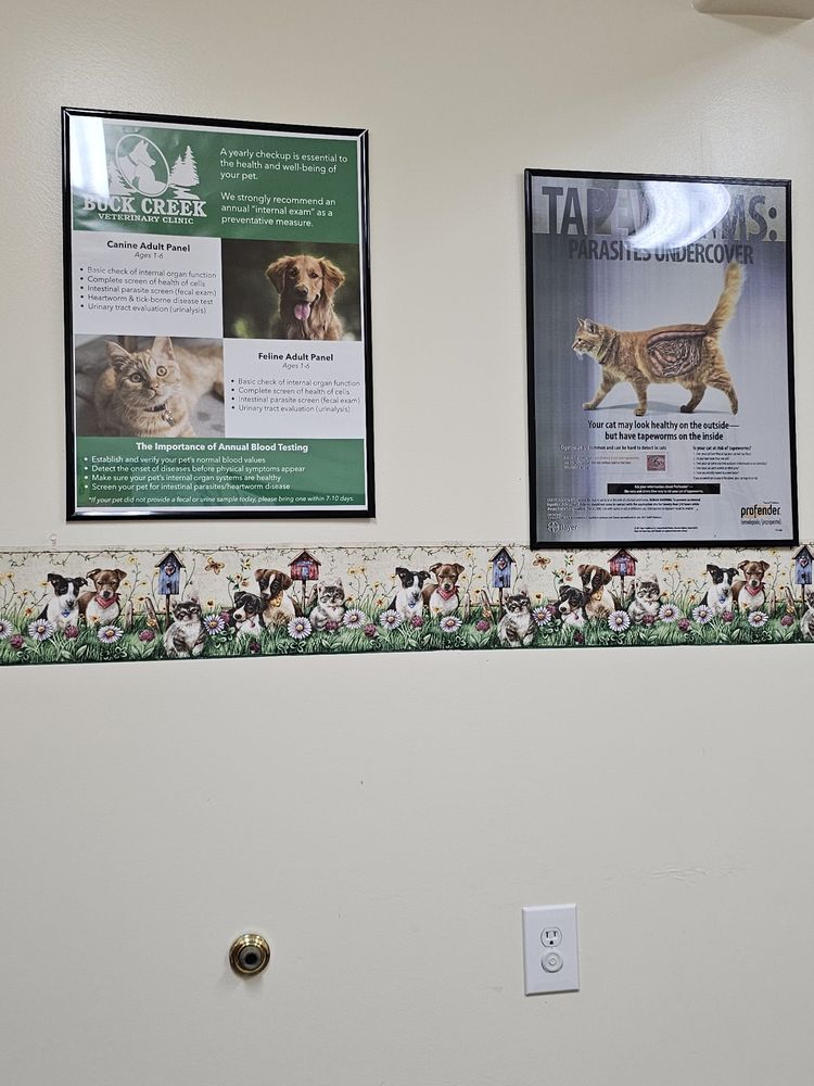 BUCK CREEK VETERINARY CLINIC Updated September 2024 10 Reviews