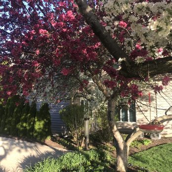 Bartlett Tree Experts - Tree Services Near Me - Bolingbrook, Illinois