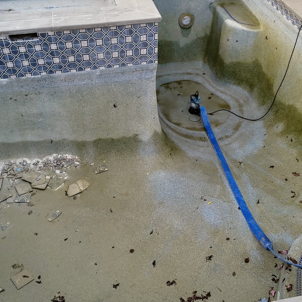 My pool the day this review was written. My pool the day this review was written.