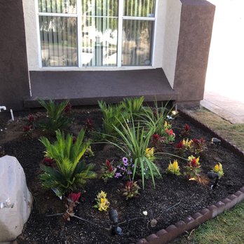 Ortega's Jr Tree Service - Tree Services Near Me - Riverside , California