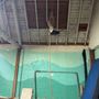 Photo of Mats Gymnastics & Physical Fitness Center