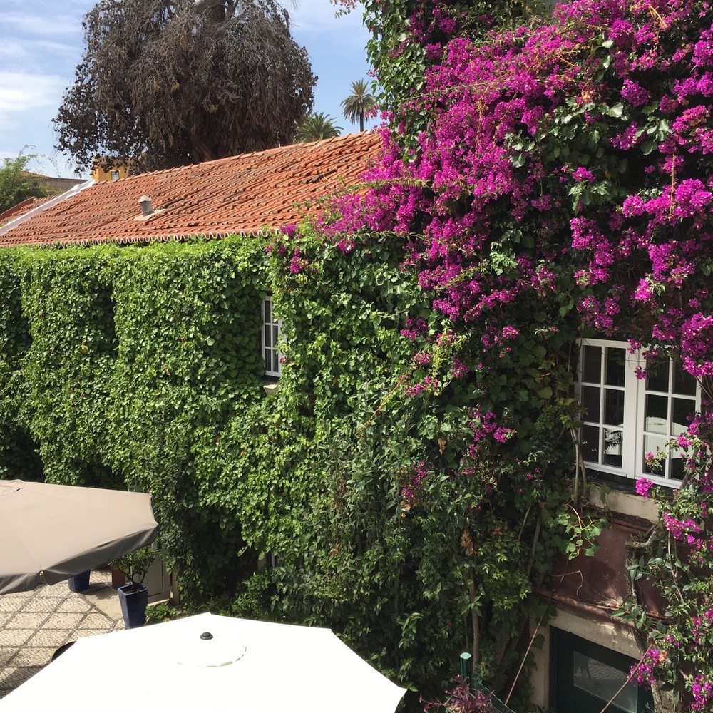 York House - Beautiful and quiet court garden. - Hotels Near Me - Lisbon, 11
