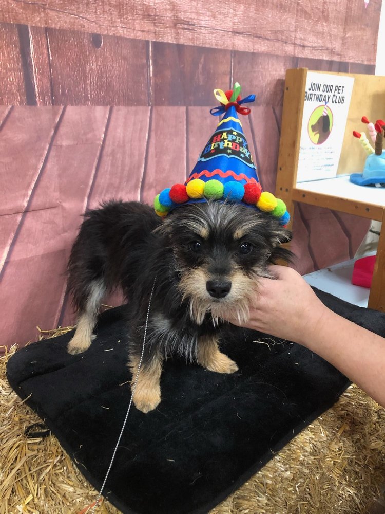 OAK RIDGE FEED Updated September 2024 7035 Stadium Dr, Kalamazoo