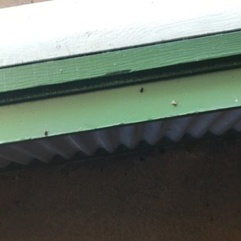 Wingstop - Those are three flys - Chicken Wings Near Me - San Diego, California Wingstop - Those are three flys - Chicken Wings Near Me - San Diego, California