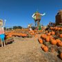 Photo of Meadows Farms Nurseries - 7 Corners