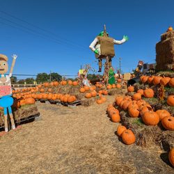 Meadows Farms Nurseries - 7 Corners