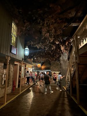 Milwaukee Public Museum by null