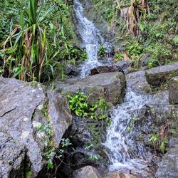 Hanakapi'ai Falls Hike - Instagram: @telephonesmoothie