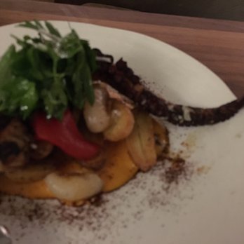 Martina - Octopus - Argentine Near Me - Minneapolis, Minnesota