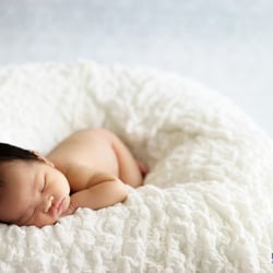Michelle Nicole Photography - Newborn Portrait Sessions | www.michellenicolephoto.com