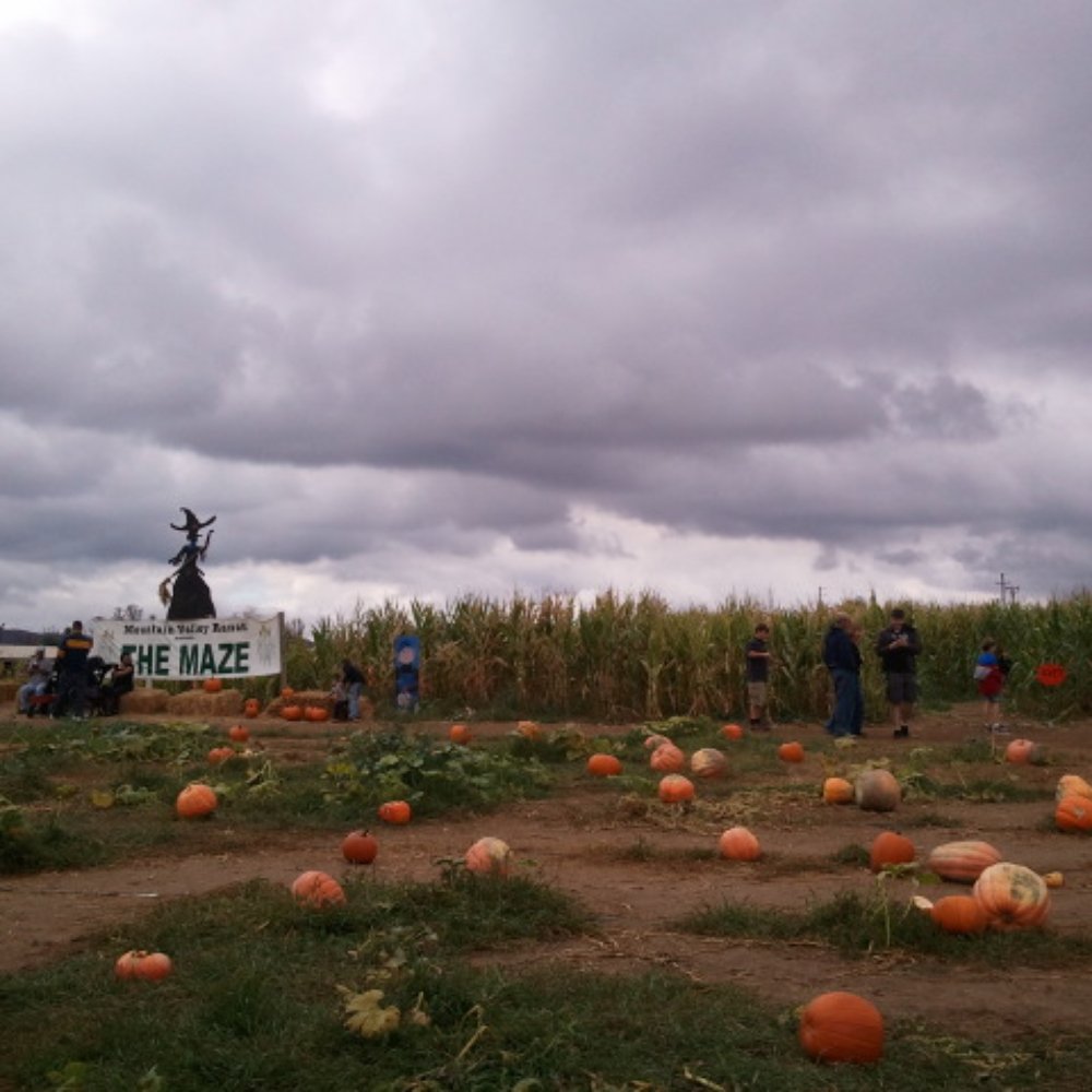 Mountain Valley Ranch - Pumpkin Patches Near Me - Ramona, California Mountain Valley Ranch - Pumpkin Patches Near Me - Ramona, California