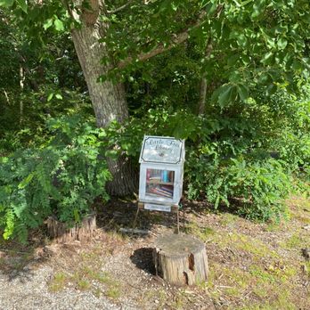 Little Free Library - Community Book Box Near Me - Crozier, Virginia