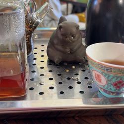 KungBrew - Parvati's Happiness tea experience