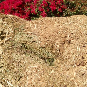 Orange County Tree Services - Nice pile of mulch - Tree Services Near Me Orange County Tree Services - Nice pile of mulch - Tree Services Near Me