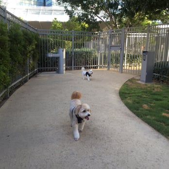 Vdara Dog Park - Pets Near Me - Las Vegas, Nevada Vdara Dog Park - Pets Near Me - Las Vegas, Nevada