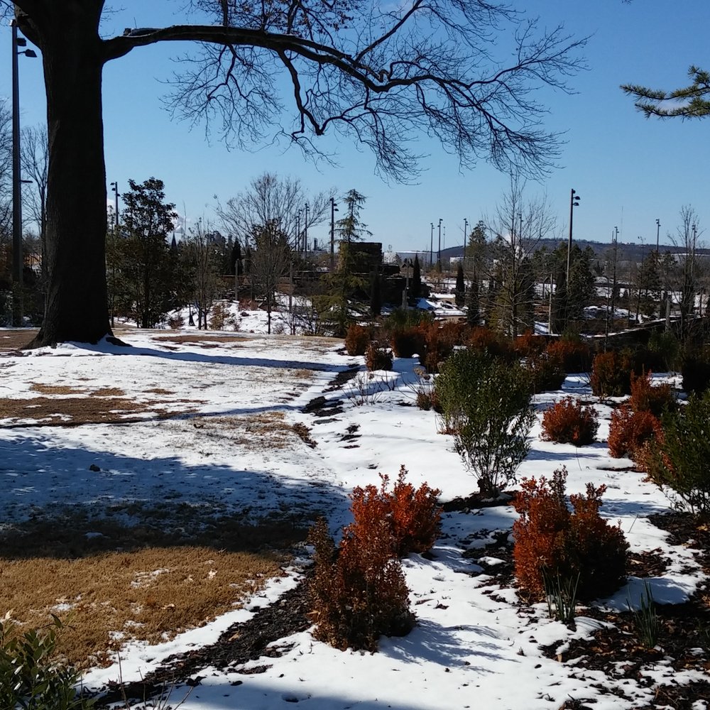 Gathering Place - Parks Near Me - Tulsa, Oklahoma Gathering Place - Parks Near Me - Tulsa, Oklahoma