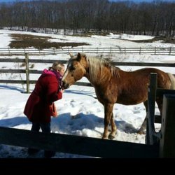 Reiki With Amy