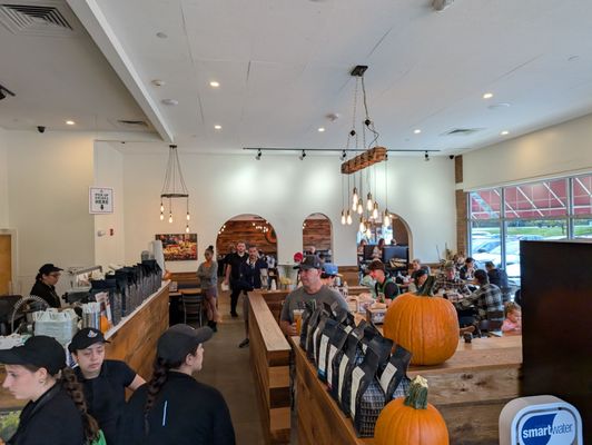 Pressed Cafe by null