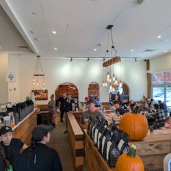 Pressed Cafe - Insight?