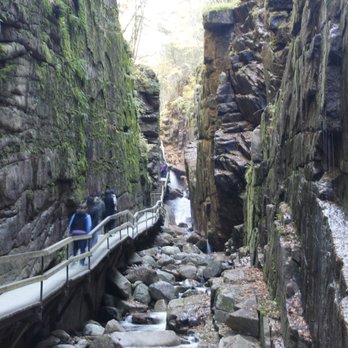 The Flume Gorge - The Flume Gorge - Parks Near Me - Lincoln, New Hampshire The Flume Gorge - The Flume Gorge - Parks Near Me - Lincoln, New Hampshire