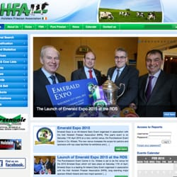 Web Design Cork