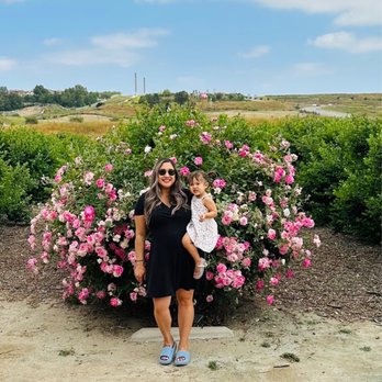 Temecula Berry - Beautiful & scenic - Farms Near Me - Temecula, California