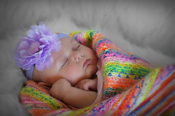 Dawna Kraus Photography