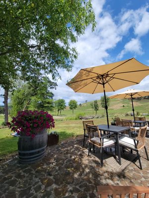 Maysara Winery by null