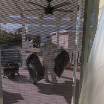 Rodent Free - This crew came prepared and worked hard from 7AM to 6PM. - Pest Control Near Me Rodent Free - This crew came prepared and worked hard from 7AM to 6PM. - Pest Control Near Me
