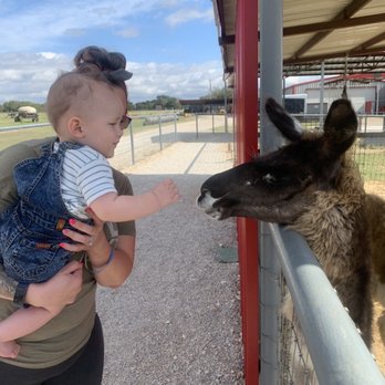Sharkarosa Wildlife Ranch - Attraction Farms Near Me - Pilot Point, Texas Sharkarosa Wildlife Ranch - Attraction Farms Near Me - Pilot Point, Texas