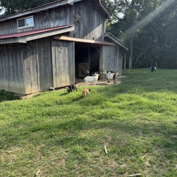 Little Tail Farms - Vacation Rentals Near Me - Dunlap, Tennessee