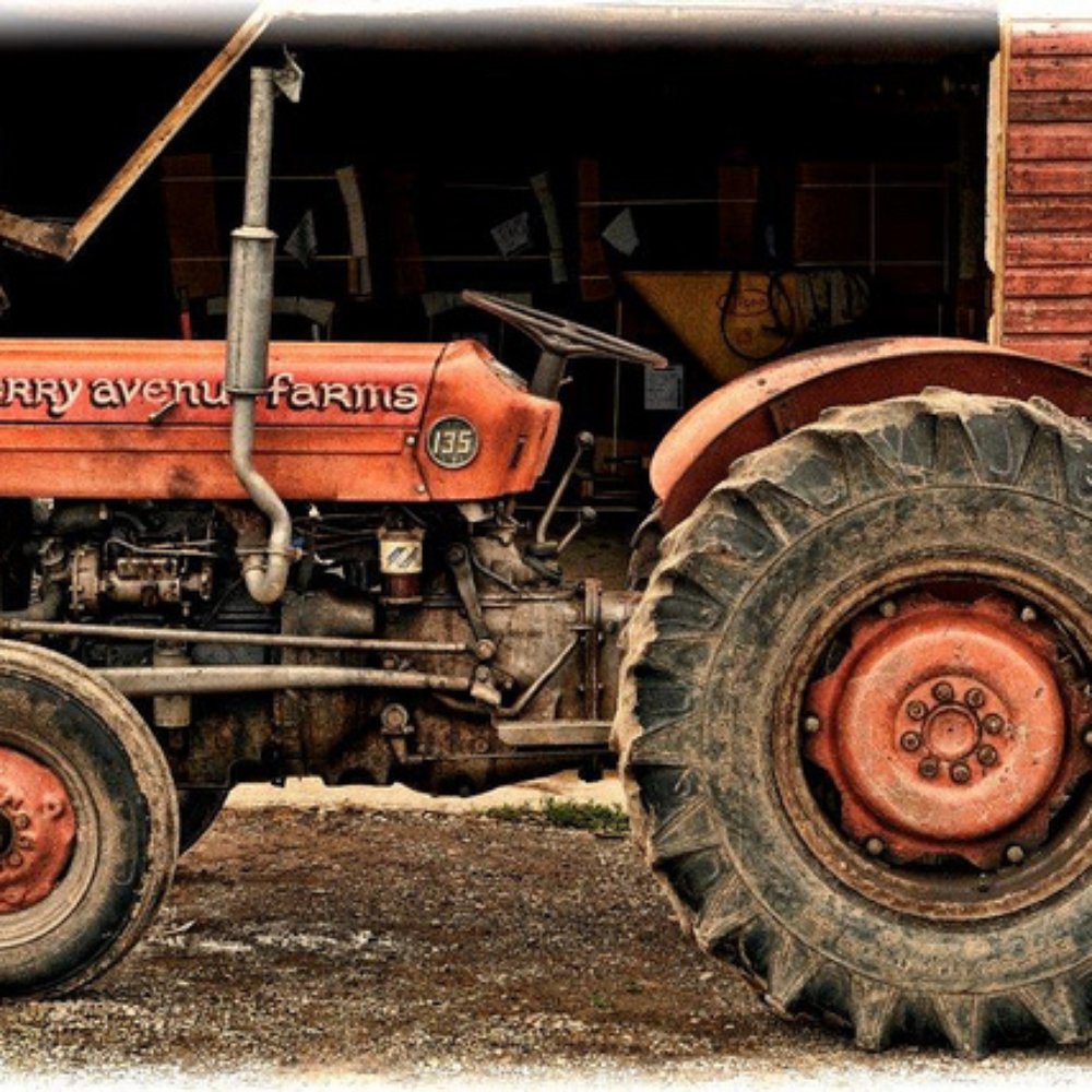 Cherry Avenue Farms - John Carvalho - Farmers Market Near Me - Lincoln, Ontario Cherry Avenue Farms - John Carvalho - Farmers Market Near Me - Lincoln, Ontario