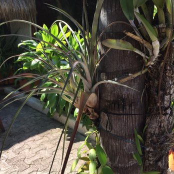 Burger Stop - Burgers Near Me - Playa del Carmen, ROO Burger Stop - Burgers Near Me - Playa del Carmen, ROO