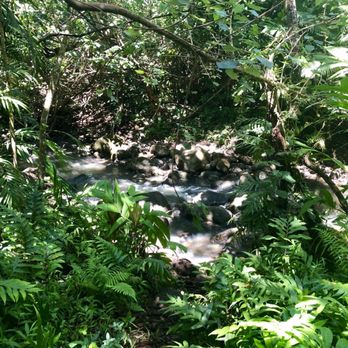 Waimano Loop Trail - Hiking Near Me - Pearl City, Hawaii