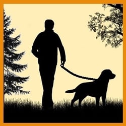 Pet Sitters of SE Michigan