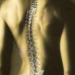 Fair Oaks Chiropractic - We are here to align your spine!
