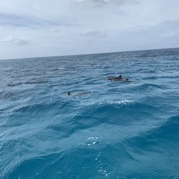 Trident Adventures - Dive Shops Near Me - Honolulu, Hawaii