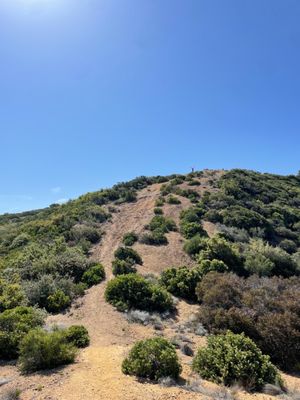 Claremont Hills Wilderness Park by null